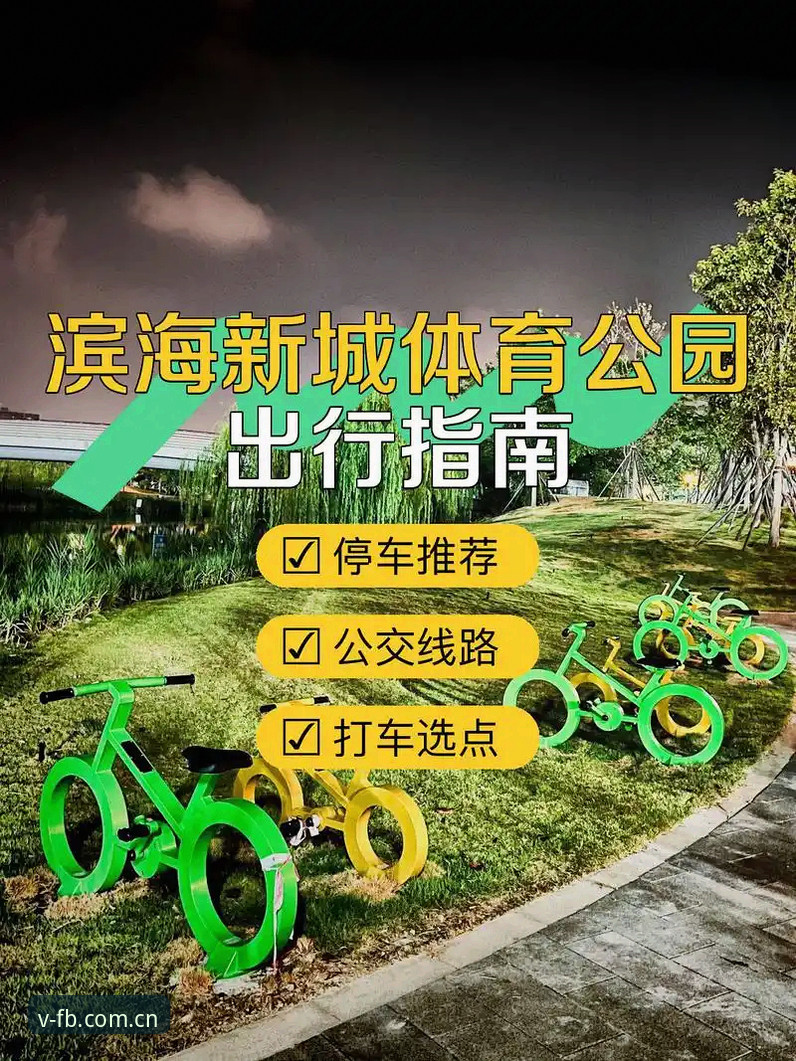 FB体育综合平台流畅体验完整指南：从下载到实战的操作手册